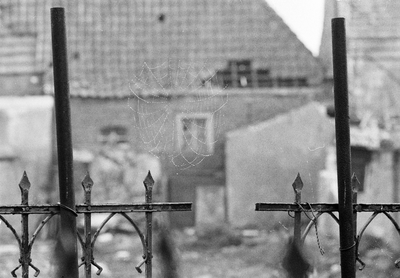 849237 Afbeelding van een spinnenweb tussen twee stijlen van een balustrade, met op de achtergrond een vervallen pand.